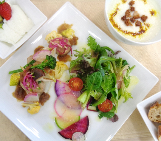 サロンレポート