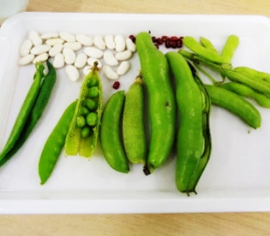サロンレポート